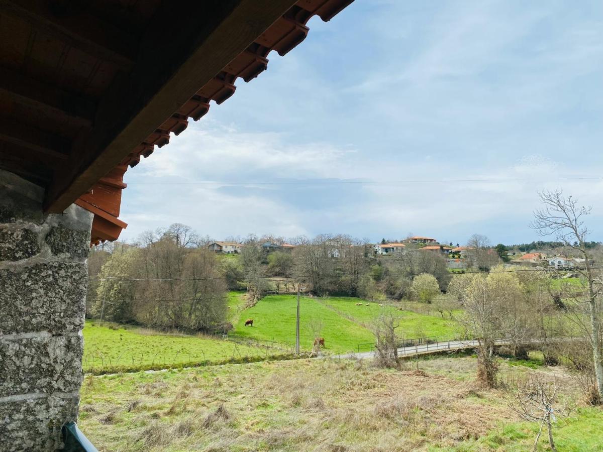 Villa Casinha Da Ti'Augusta à Lamego Extérieur photo